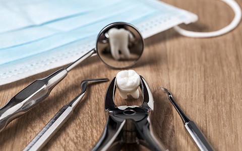 Dental forceps holding a model tooth